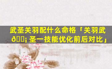武圣关羽配什么命格「关羽武 🐡 圣一技能优化前后对比」